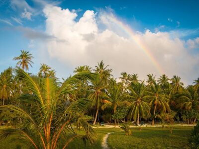 meeru-island-2083696_1280
