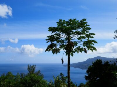 seychelles-4601760_1280