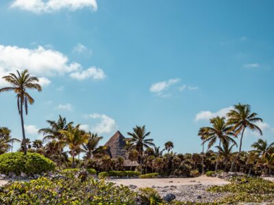 tropical-8043491_1280